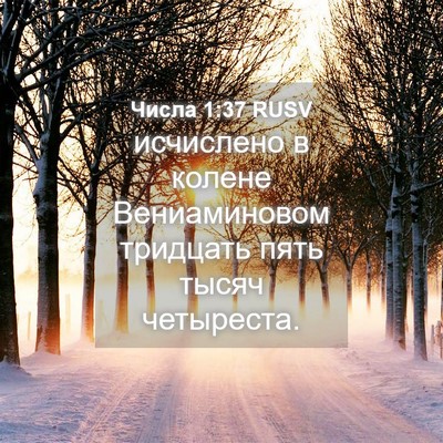 Picture 04 - Числа 1:37 RUSV - исчислено в колене - Bible Verse Picture