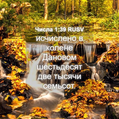 Picture 04 - Числа 1:39 RUSV - исчислено в колене Дановом - Bible Verse Picture