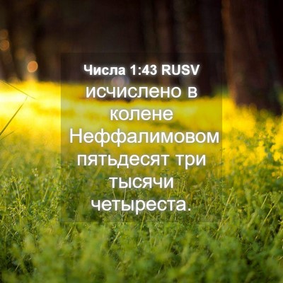 Picture 04 - Числа 1:43 RUSV - исчислено в колене - Bible Verse Picture