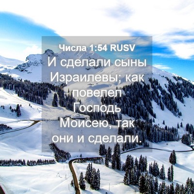 Picture 04 - Числа 1:54 RUSV - И сделали сыны Израилевы; - Bible Verse Picture