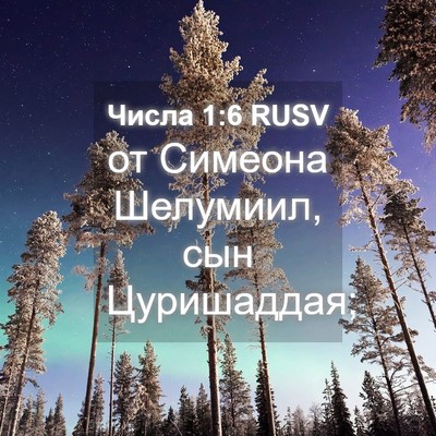 Picture 04 - Числа 1:6 RUSV - от Симеона Шелумиил, сын - Bible Verse Picture