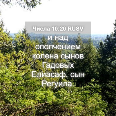 Picture 04 - Числа 10:20 RUSV - и над ополчением колена - Bible Verse Picture
