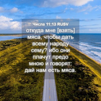 Picture 04 - Числа 11:13 RUSV - откуда мне [взять] мяса, - Bible Verse Picture