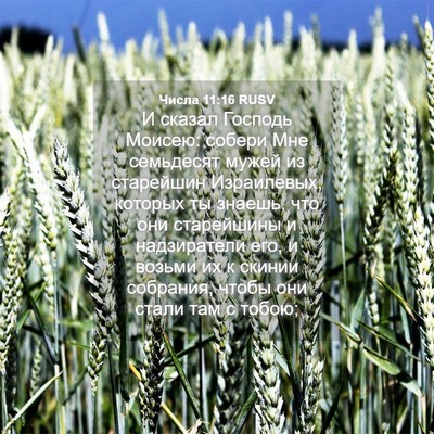 Picture 04 - Числа 11:16 RUSV - И сказал Господь Моисею: - Bible Verse Picture