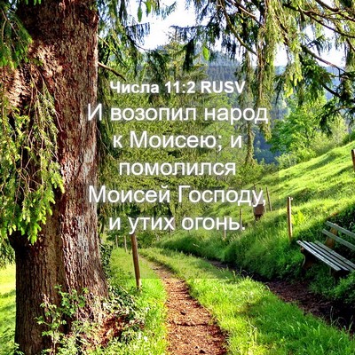Picture 04 - Числа 11:2 RUSV - И возопил народ к Моисею; и - Bible Verse Picture