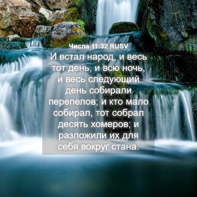 Picture 04 - Числа 11:32 RUSV - И встал народ, и весь тот - Bible Verse Picture