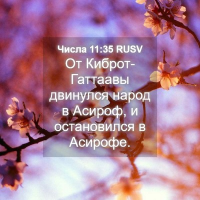 Picture 04 - Числа 11:35 RUSV - От Киброт-Гаттаавы - Bible Verse Picture