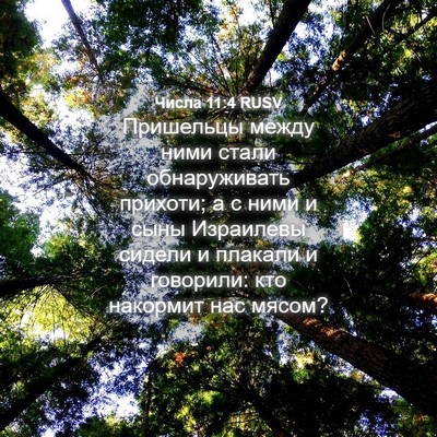 Picture 04 - Числа 11:4 RUSV - Пришельцы между ними стали - Bible Verse Picture