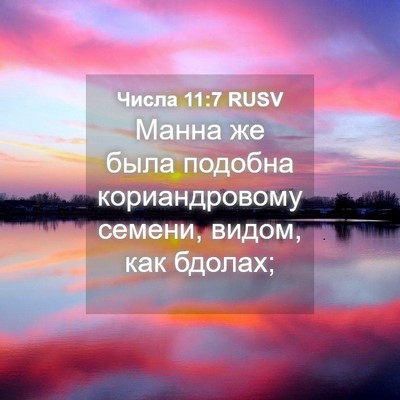 Picture 04 - Числа 11:7 RUSV - Манна же была подобна - Bible Verse Picture