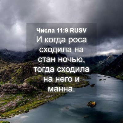 Picture 04 - Числа 11:9 RUSV - И когда роса сходила на - Bible Verse Picture