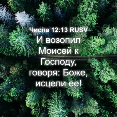 Picture 04 - Числа 12:13 RUSV - И возопил Моисей к Господу, - Bible Verse Picture