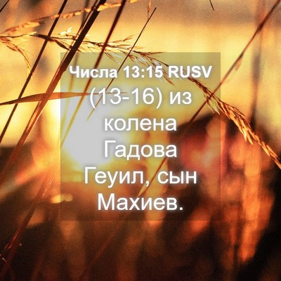 Picture 04 - Числа 13:15 RUSV - (13-16) из колена Гадова - Bible Verse Picture