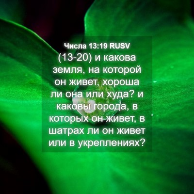 Picture 04 - Числа 13:19 RUSV - (13-20) и какова земля, на - Bible Verse Picture