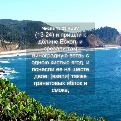 Picture 04 - Числа 13:23 RUSV - (13-24) и пришли к долине - Bible Verse Picture
