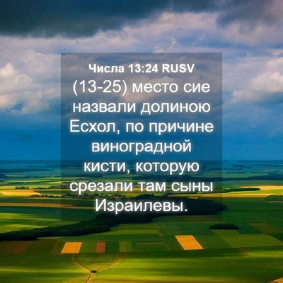 Picture 04 - Числа 13:24 RUSV - (13-25) место сие назвали - Bible Verse Picture