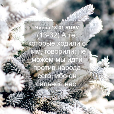 Picture 04 - Числа 13:31 RUSV - (13-32) А те, которые ходили с - Bible Verse Picture