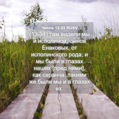 Picture 04 - Числа 13:33 RUSV - (13-34) там видели мы и - Bible Verse Picture