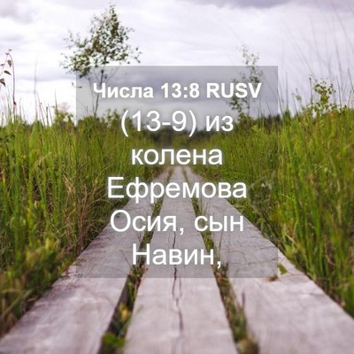 Picture 04 - Числа 13:8 RUSV - (13-9) из колена Ефремова - Bible Verse Picture