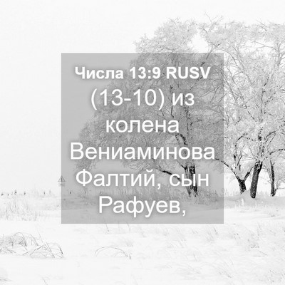Picture 04 - Числа 13:9 RUSV - (13-10) из колена Вениаминова - Bible Verse Picture