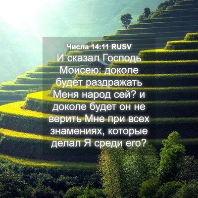 Picture 04 - Числа 14:11 RUSV - И сказал Господь Моисею: - Bible Verse Picture