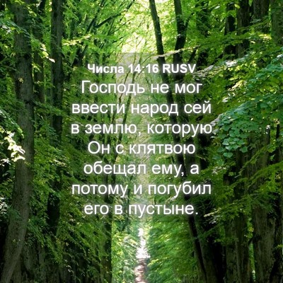 Picture 04 - Числа 14:16 RUSV - Господь не мог ввести - Bible Verse Picture