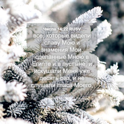 Picture 04 - Числа 14:22 RUSV - все, которые видели славу - Bible Verse Picture