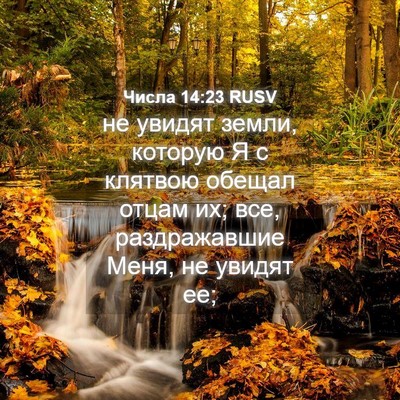 Picture 04 - Числа 14:23 RUSV - не увидят земли, которую Я - Bible Verse Picture