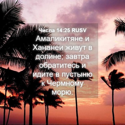 Picture 04 - Числа 14:25 RUSV - Амаликитяне и Хананеи - Bible Verse Picture