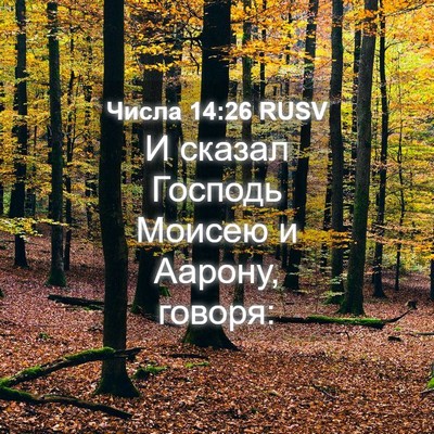Picture 04 - Числа 14:26 RUSV - И сказал Господь Моисею и - Bible Verse Picture