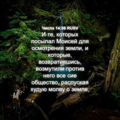 Picture 04 - Числа 14:36 RUSV - И те, которых посылал - Bible Verse Picture