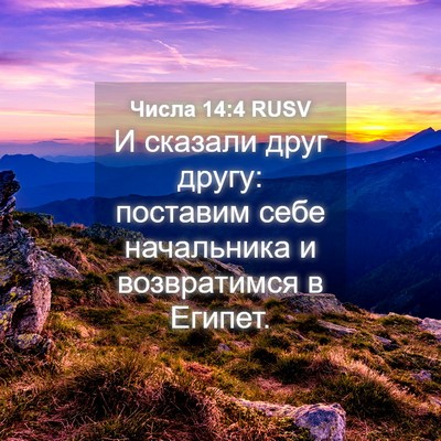 Picture 04 - Числа 14:4 RUSV - И сказали друг другу: - Bible Verse Picture