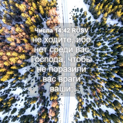 Picture 04 - Числа 14:42 RUSV - не ходите, ибо нет среди - Bible Verse Picture