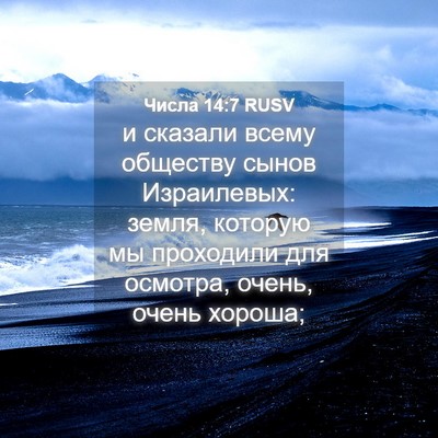 Picture 04 - Числа 14:7 RUSV - и сказали всему обществу - Bible Verse Picture