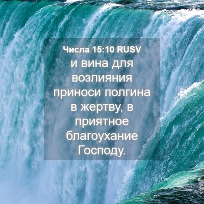 Picture 04 - Числа 15:10 RUSV - и вина для возлияния - Bible Verse Picture