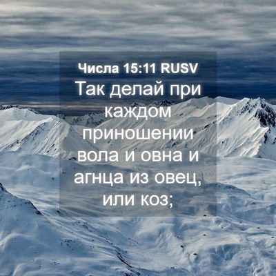 Picture 04 - Числа 15:11 RUSV - Так делай при каждом - Bible Verse Picture