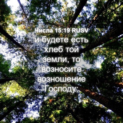 Picture 04 - Числа 15:19 RUSV - и будете есть хлеб той - Bible Verse Picture