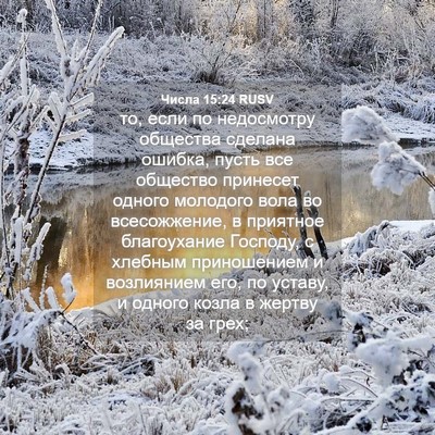 Picture 04 - Числа 15:24 RUSV - то, если по недосмотру - Bible Verse Picture