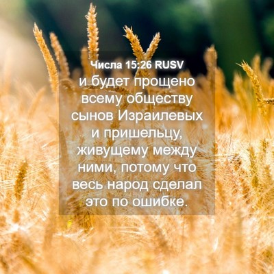 Picture 04 - Числа 15:26 RUSV - и будет прощено всему - Bible Verse Picture