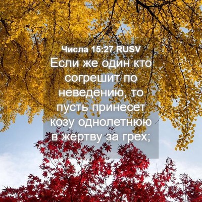 Picture 04 - Числа 15:27 RUSV - Если же один кто согрешит - Bible Verse Picture