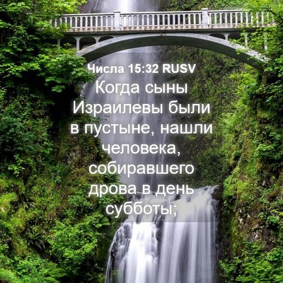 Picture 04 - Числа 15:32 RUSV - Когда сыны Израилевы были - Bible Verse Picture