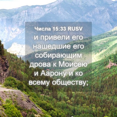 Picture 04 - Числа 15:33 RUSV - и привели его нашедшие его - Bible Verse Picture