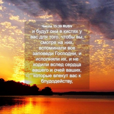 Picture 04 - Числа 15:39 RUSV - и будут они в кистях у вас - Bible Verse Picture