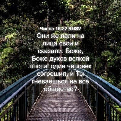 Picture 04 - Числа 16:22 RUSV - Они же пали на лица свои и - Bible Verse Picture