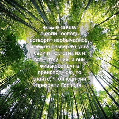 Picture 04 - Числа 16:30 RUSV - а если Господь сотворит - Bible Verse Picture