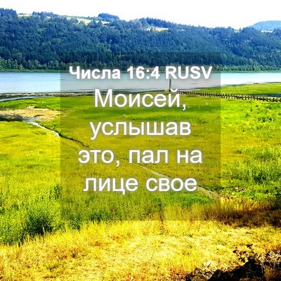 Picture 04 - Числа 16:4 RUSV - Моисей, услышав это, пал на - Bible Verse Picture