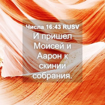 Picture 04 - Числа 16:43 RUSV - И пришел Моисей и Аарон к - Bible Verse Picture