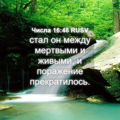 Picture 04 - Числа 16:48 RUSV - стал он между мертвыми и - Bible Verse Picture