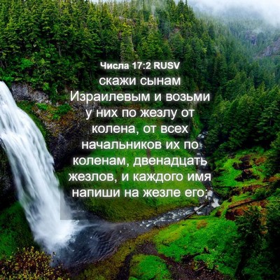 Picture 04 - Числа 17:2 RUSV - скажи сынам Израилевым и - Bible Verse Picture