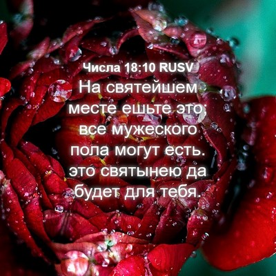 Picture 04 - Числа 18:10 RUSV - На святейшем месте ешьте - Bible Verse Picture