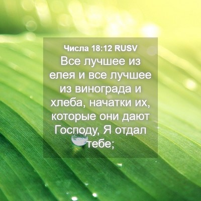 Picture 04 - Числа 18:12 RUSV - Все лучшее из елея и все - Bible Verse Picture